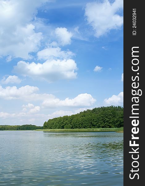 Forest and lake under cloudy sky with copy space. Forest and lake under cloudy sky with copy space