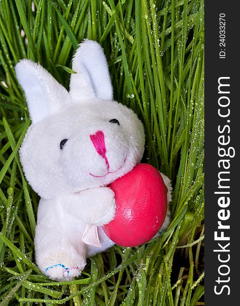 Bunny holding an Easter egg on green grass background