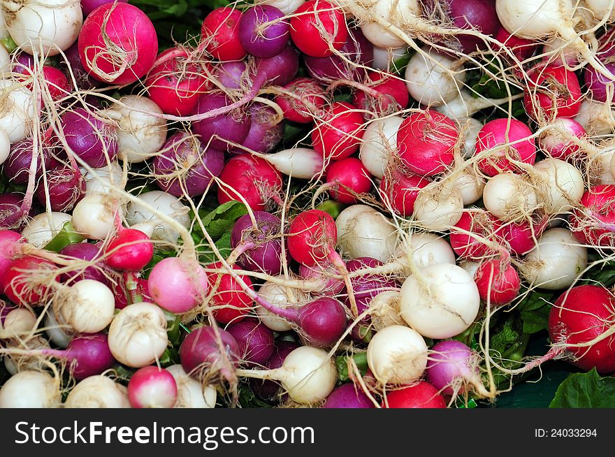 Colorful radishes at the market