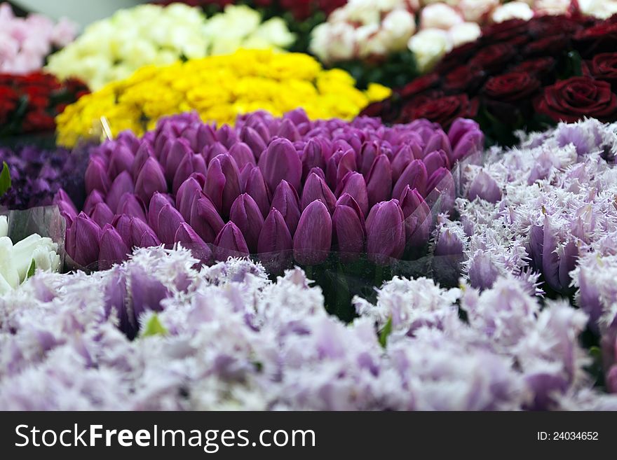 Flowers Market