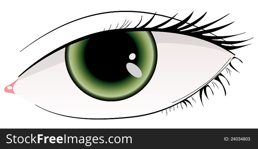 Illustration of beautiful green woman eye