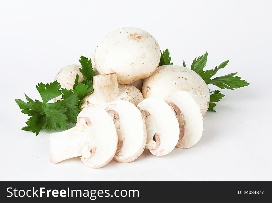 Fresh mushroom  on white background