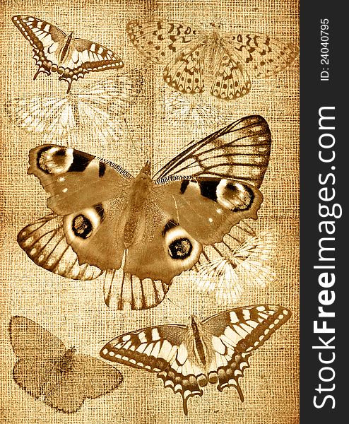 Grunge Canvas Back With Butterflies