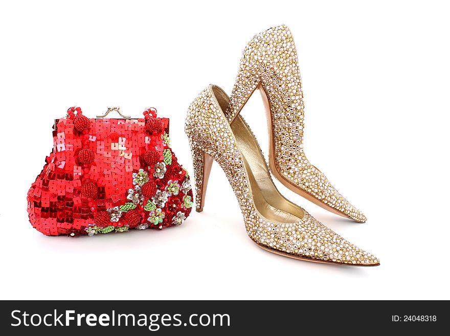 Elegant handbag and shoes for women