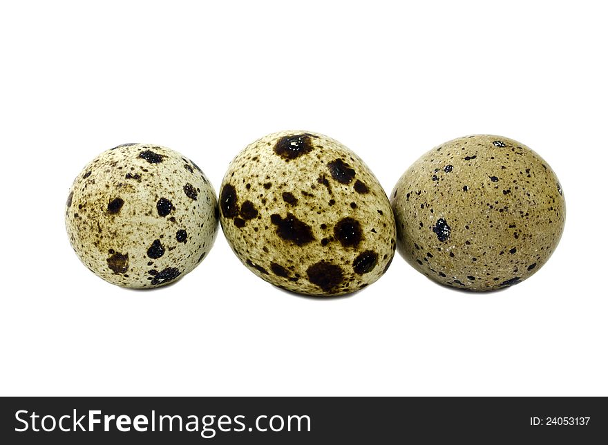 Quail eggs are healthy passover food. Quail eggs are healthy passover food