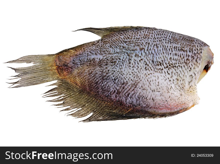 Closeup photo of sun dried salted Leaf Fish isolated on white, popular preserved fish in Asia