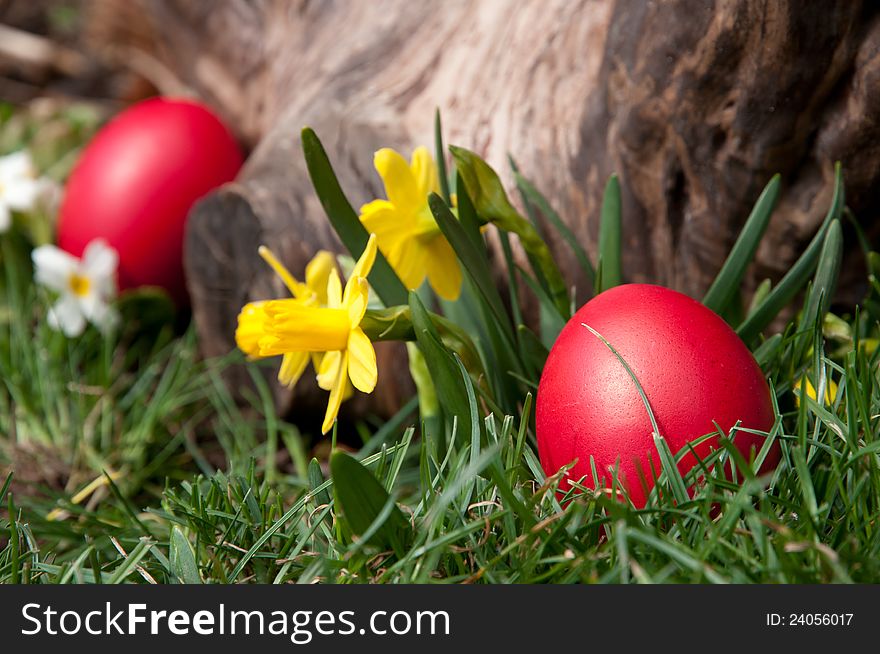 Red egg in the grass, near a log. Red egg in the grass, near a log.