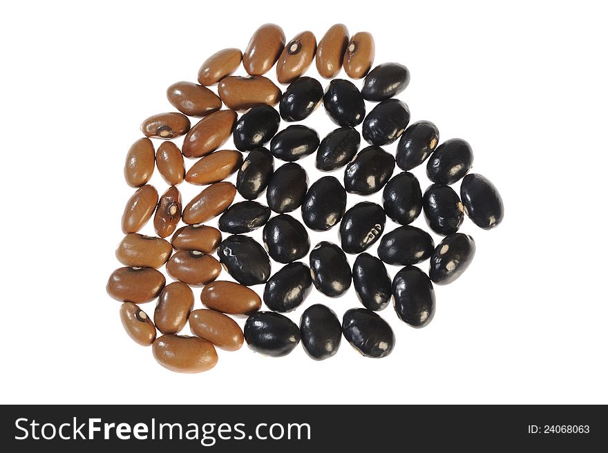 Different beans on white background