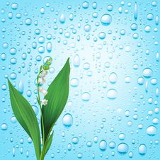 Blue Water Drops Background Stock Image