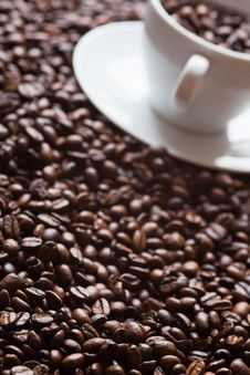 Coffee Beans With A Coffee Cup Royalty Free Stock Image Coffee Beans With A Coffee Cup Royalty Free Stock Image