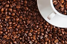 Coffee Beans With A Cup Filled With Coffee Beans Stock Photography Coffee Beans With A Cup Filled With Coffee Beans Stock Photography