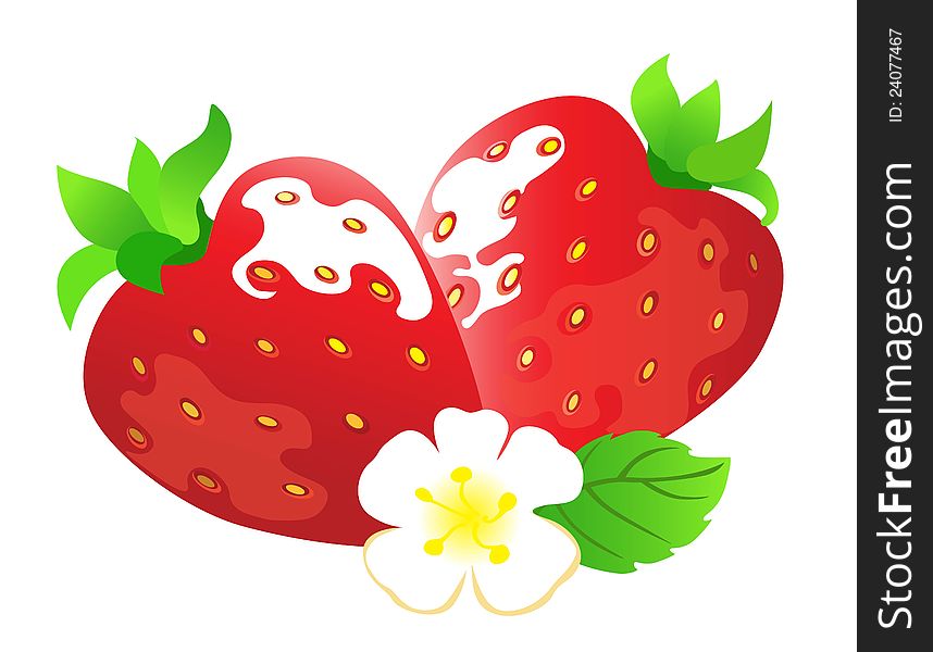 Two strawberries with a flower on a white background. Two strawberries with a flower on a white background