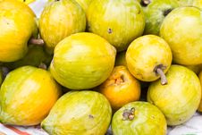 Prunus Persica Royalty Free Stock Photography Prunus Persica Royalty Free Stock Photography