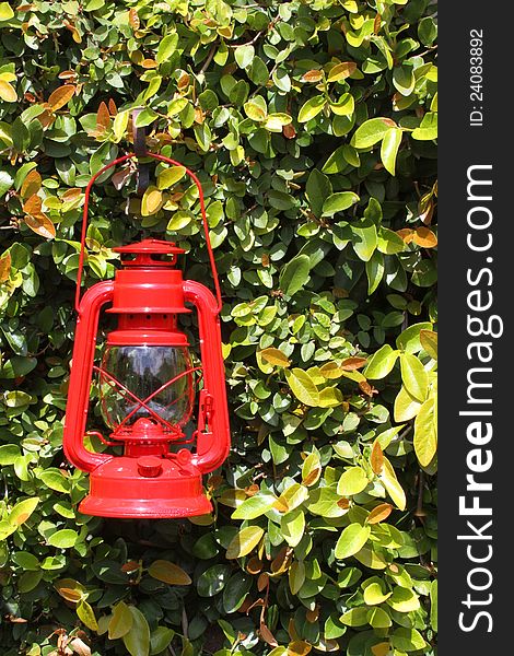 Vintage Red Rail Road Lantern Against Green Leaves