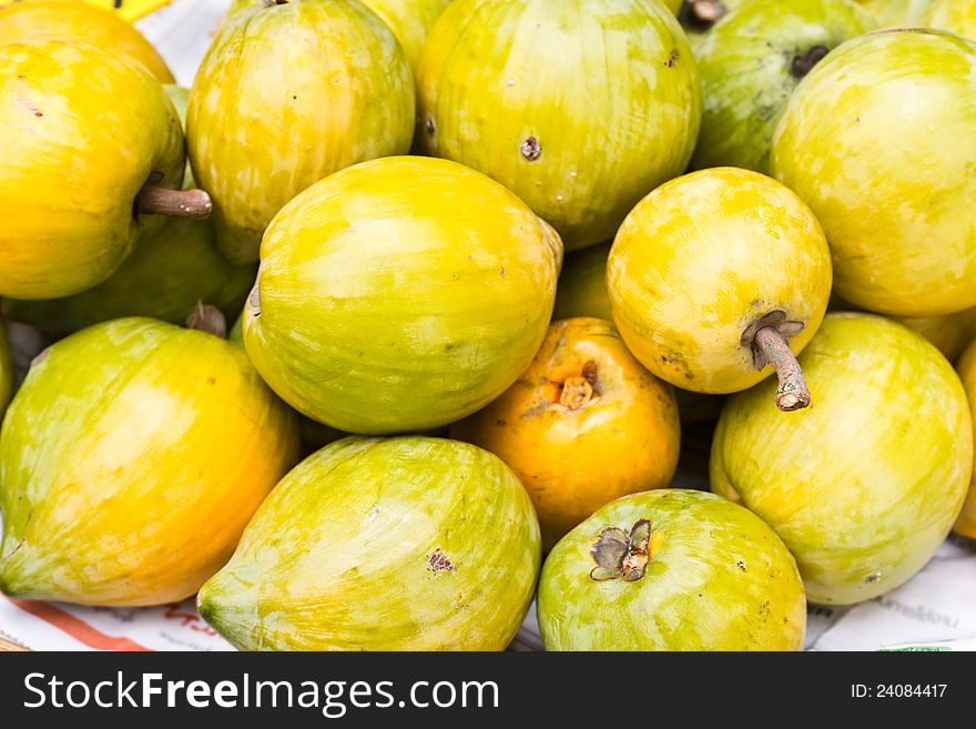 Ripe fruits of Prunus persica(Prunus mume or Chainese apricot)