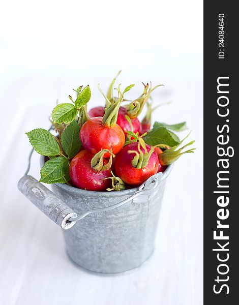 Rose hip in metal bucket. Rose hip in metal bucket