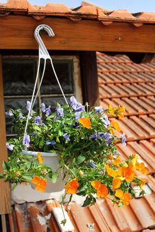 Flowers On The Window Stock Photography Flowers On The Window Stock Photography