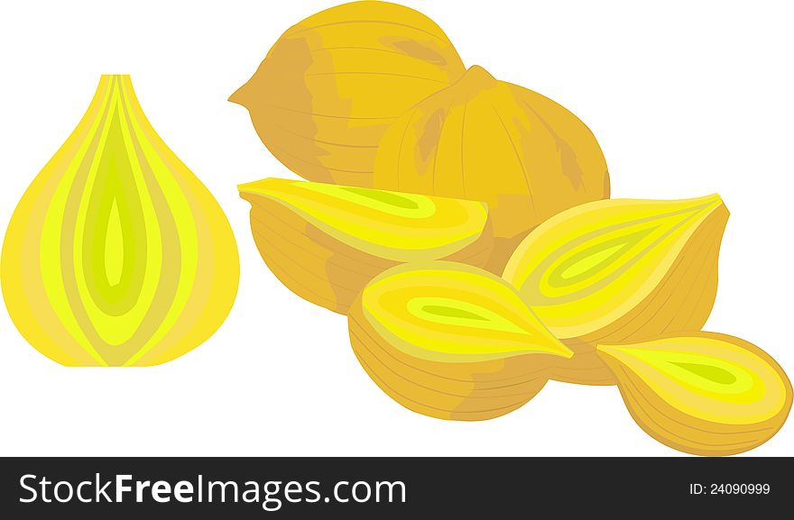Illustration of yellow onions with halves