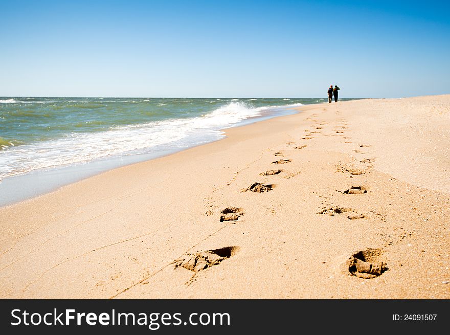 Couple Walking By The Sea