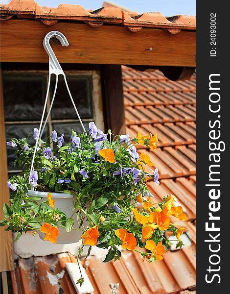 Basket of bright orange and blue flowers hangs on the window of a home. Basket of bright orange and blue flowers hangs on the window of a home