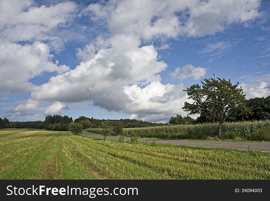 Green field in the countryside with clouds, path and tree in the background. Green field in the countryside with clouds, path and tree in the background