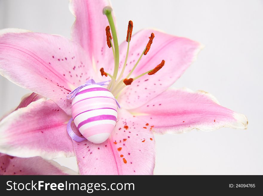 Easter egg in lily flower basket on white background. Easter egg in lily flower basket on white background