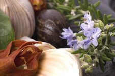Herbs And Spices Stock Image Herbs And Spices Stock Image