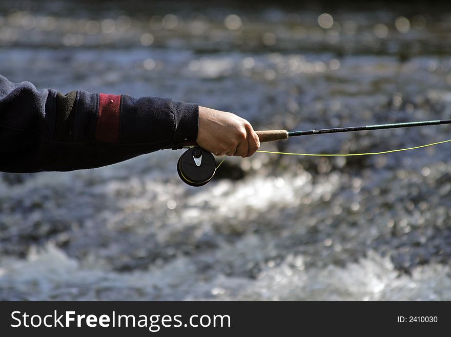 A man in river fishes trouts with rod. A man in river fishes trouts with rod