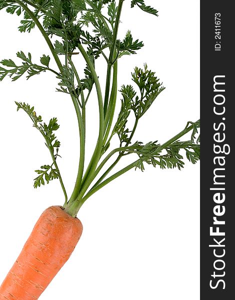 Carrot isolated over white background. Carrot isolated over white background