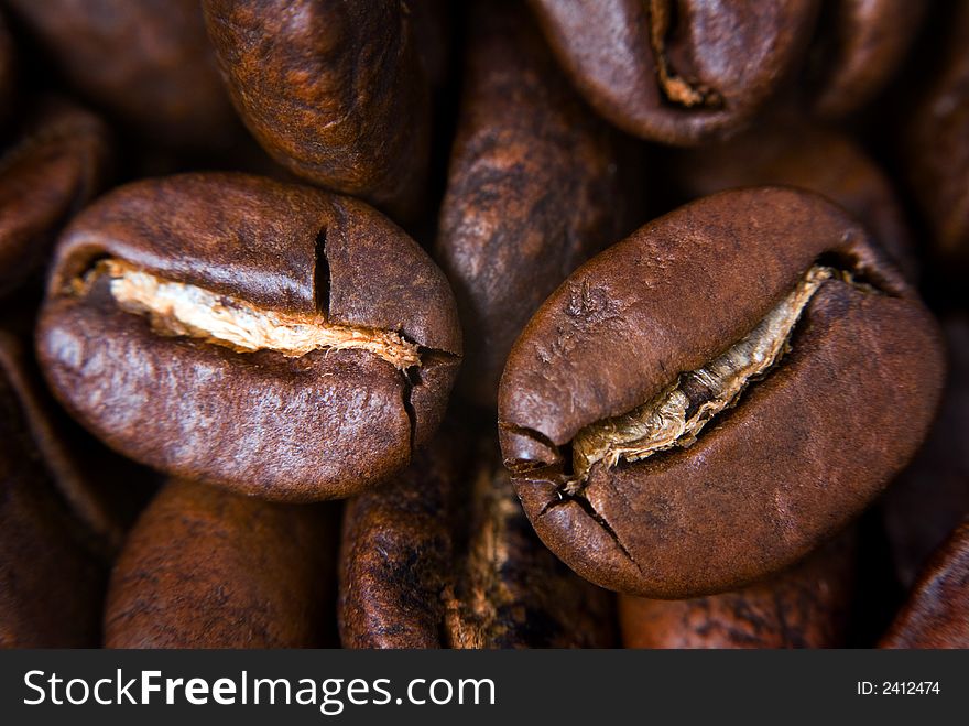 Two coffee seeds close-up