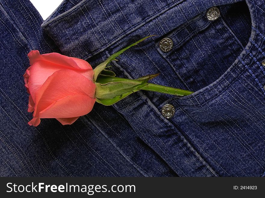 The Rose on a Jeans