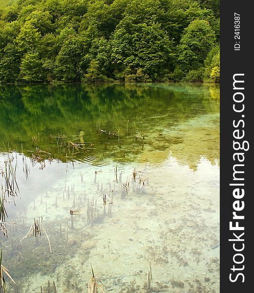 Forest lakes. Plitvicka jezera. Croatia. Forest lakes. Plitvicka jezera. Croatia.