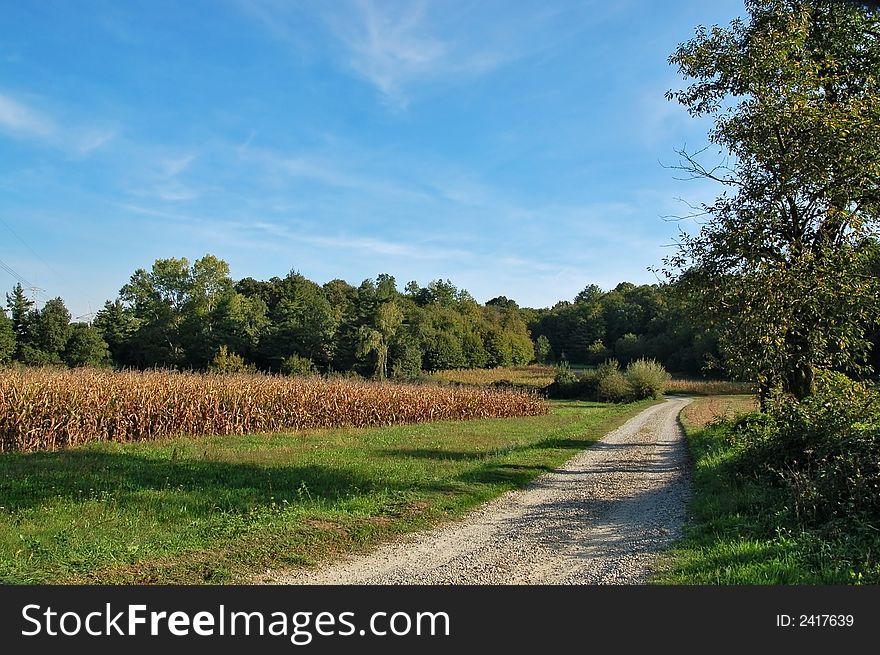 Landscape, empty country road at fall time. Landscape, empty country road at fall time