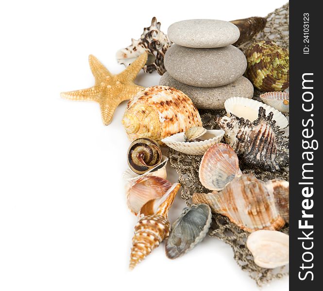 Cockleshells,marine stones and starfish