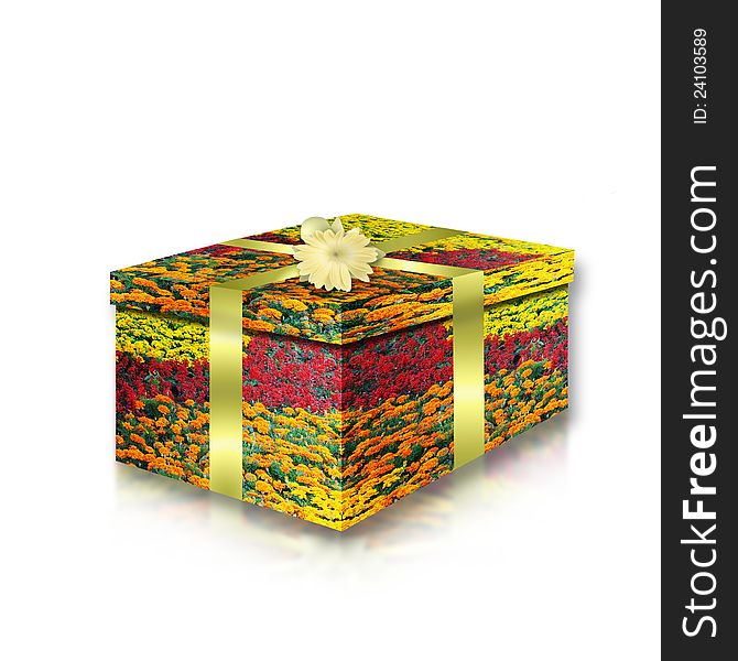 Colorful Box For A Gift