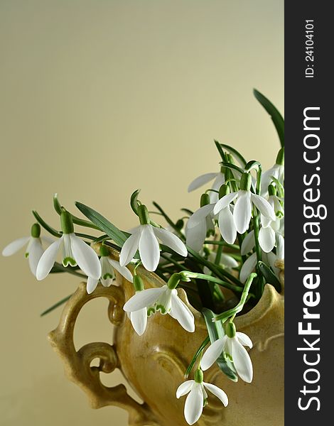 Snowdrops In A Retro Vase