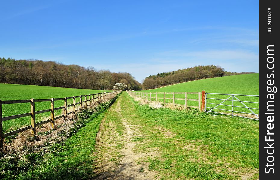 A grassy footpath between fields in an English Landscape. A grassy footpath between fields in an English Landscape