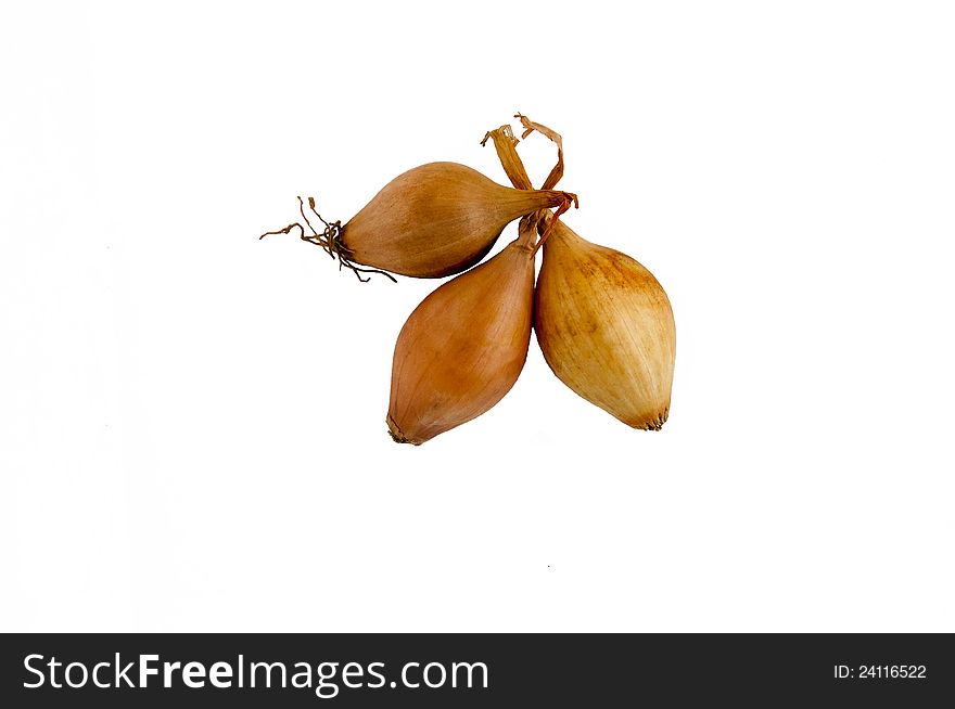 Onions For Seeding