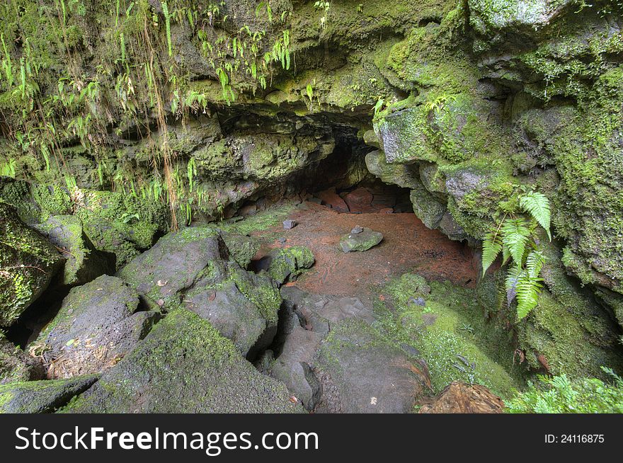 Entrance to Lava Tubes, Kaumana Caves Contry Park