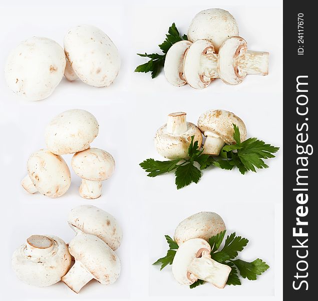 Champignon mushroom and fresh parsley on white background