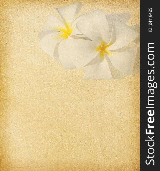 paper with tropical flowers. Plumeria. paper with tropical flowers. Plumeria