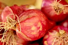 Shallot Stock Photos Shallot Stock Photos