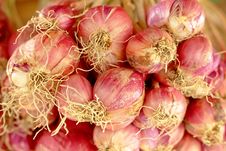 Shallot Royalty Free Stock Photos Shallot Royalty Free Stock Photos