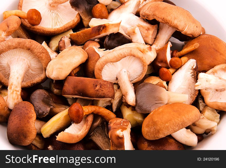Mushrooms mix on white