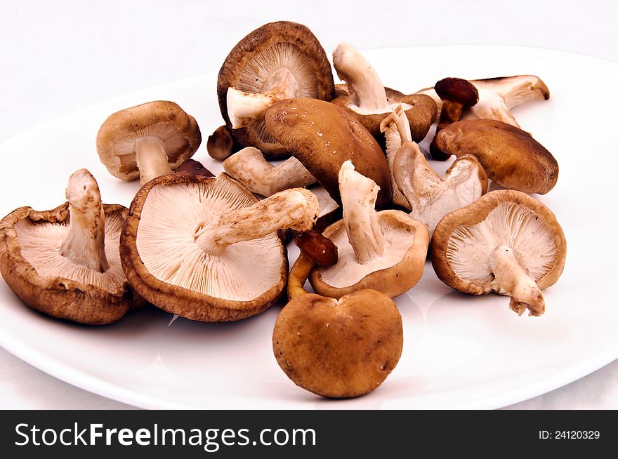 Mushrooms mixed on the plate