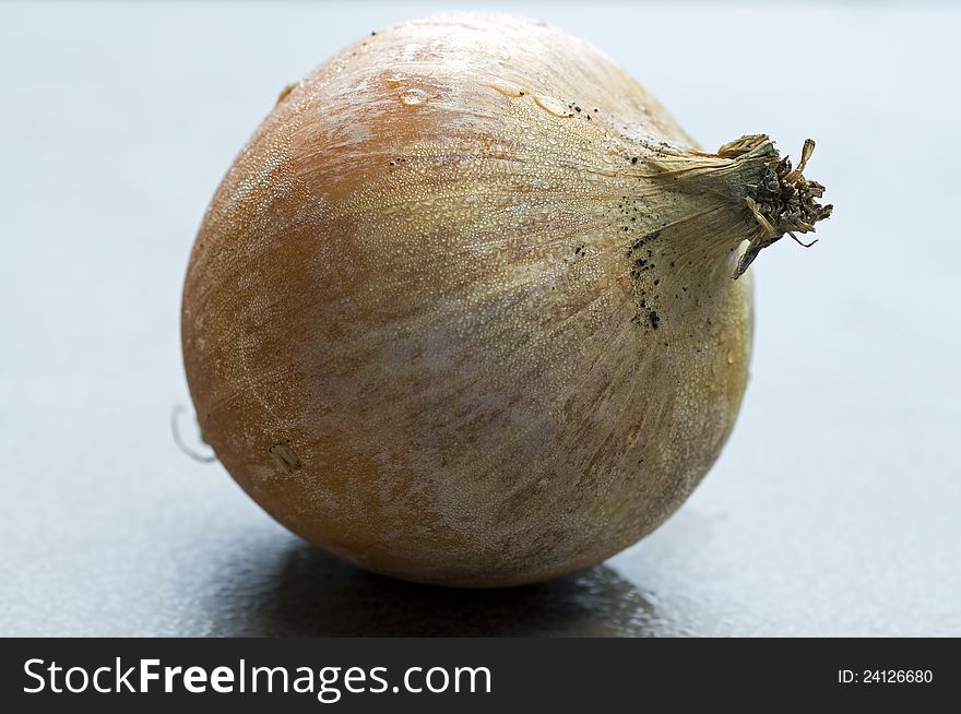 Photograph of a whole unpeeled dewy fresh onion