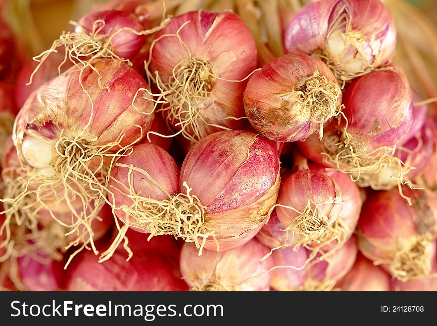 Shallot for storage. And cooking in the household