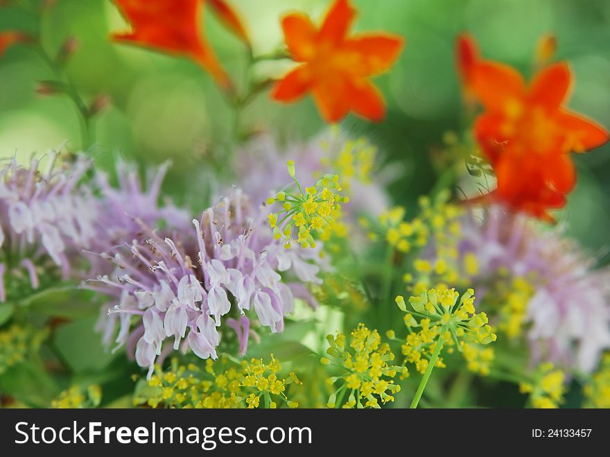 Herbal flower arrangement in pastel colors