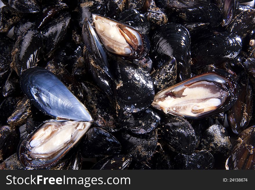 Fresh Blue mussels, some opened