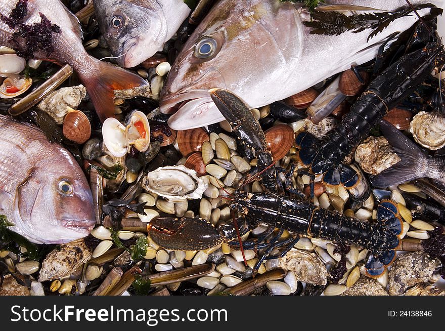 Mixed Fish And Sea Food